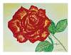 Rote Rose (1999)